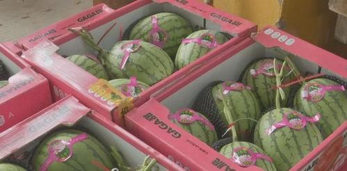 吃瓜刮钱视频大全,轻松赚钱的幕后真相