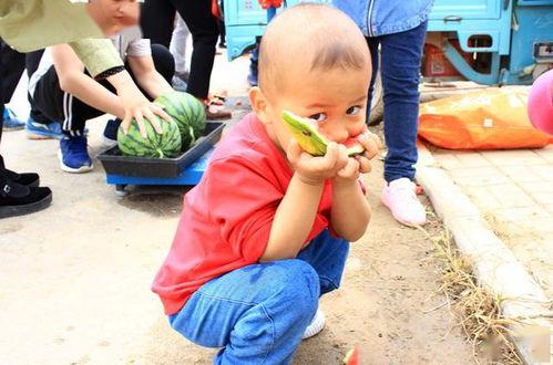 山东吃大瓜视频,一场视觉与味蕾的双重盛宴