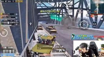 吃鸡大型吃瓜现场视频在线观看,吃鸡游戏精彩瞬间视频在线观看