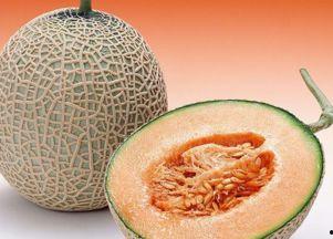 小边儿子吃哈密瓜视频播放