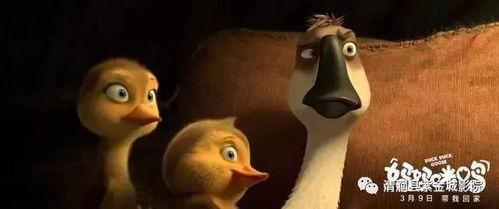 大鸭吃瓜娃娃视频播放,一场爆笑的动物界奇遇记