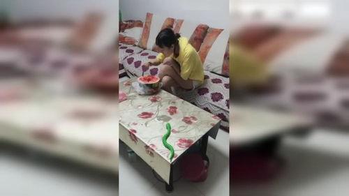 整蛊朋友吃瓜视频,笑料百出！朋友吃瓜视频整蛊大揭秘