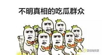 怎样做回吃瓜群众视频教程