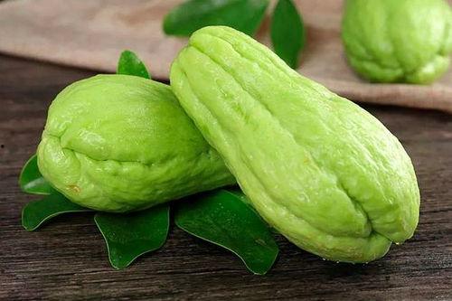 葵瓜可以吃嘛有营养吗视频,美味与健康的双重享受