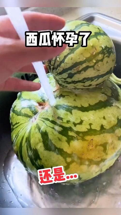 吃瓜搞笑视频模板素材,让你笑到肚子疼