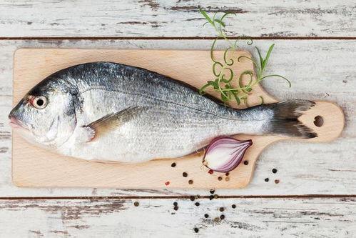 买鱼吃瓜的视频播放