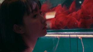 少女吃瓜教学视频,轻松掌握吃瓜技巧