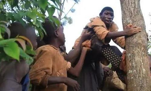 吃瓜返祖现场视频,现场视频引发热议