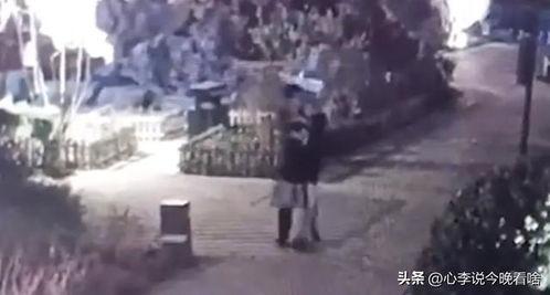 蒙城吃瓜事件真相视频全集,揭秘真相背后的惊人内幕