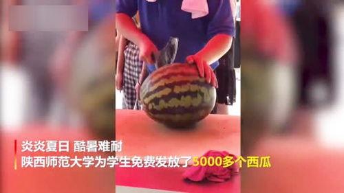 吃瓜新出版视频