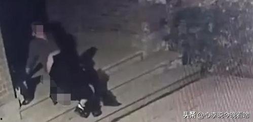 莫邪吃瓜视频完整版,揭秘娱乐圈幕后真相，带你领略明星真实生活